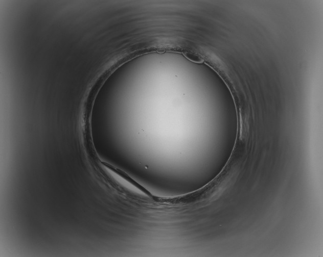 X0000089340435200706291004