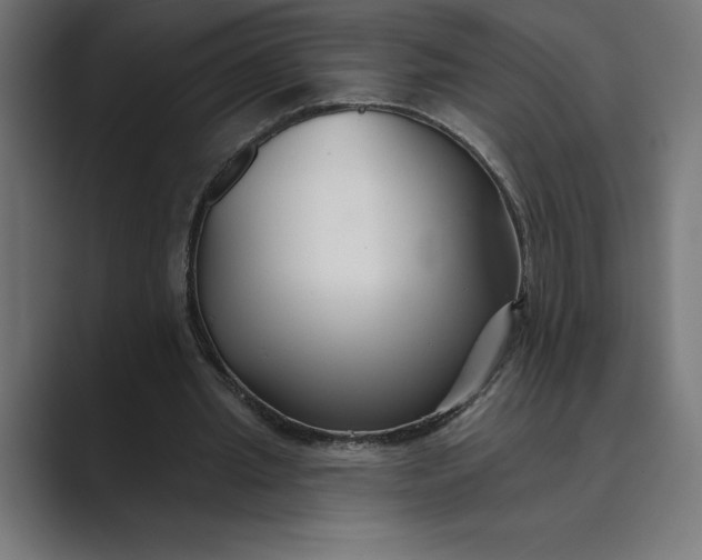 X0000089340437200706291004