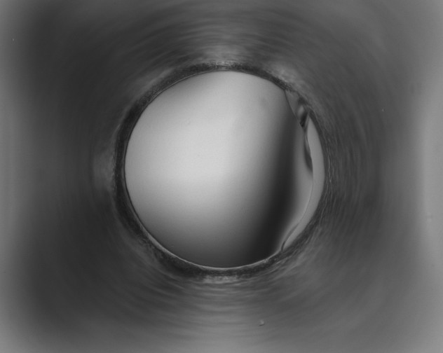 X0000089340440200706291004