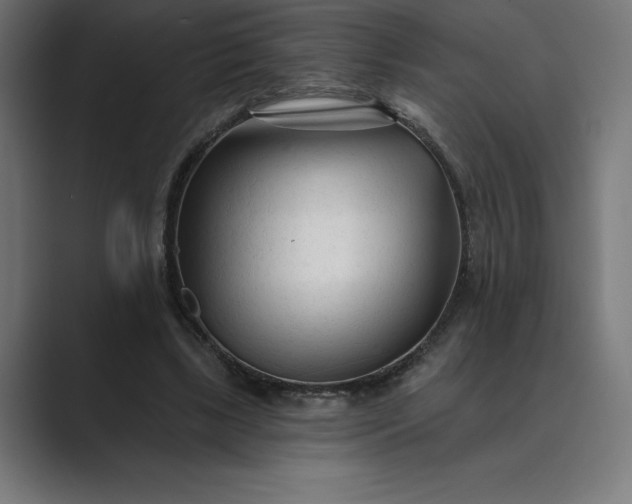 X0000089340443200706291004