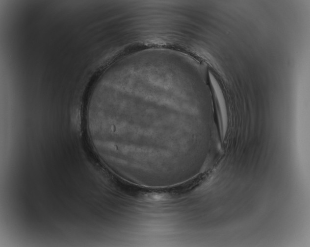 X0000089340444200706291004
