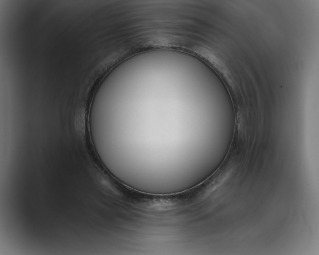 X0000089340445200706291004