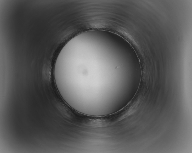 X0000089340446200706291004