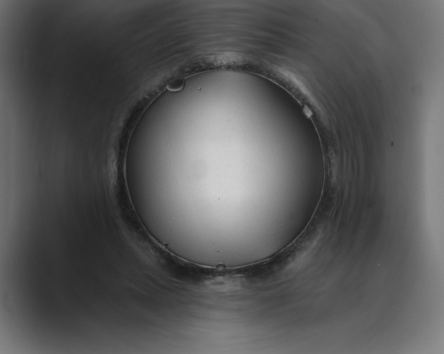 X0000089340447200706291004
