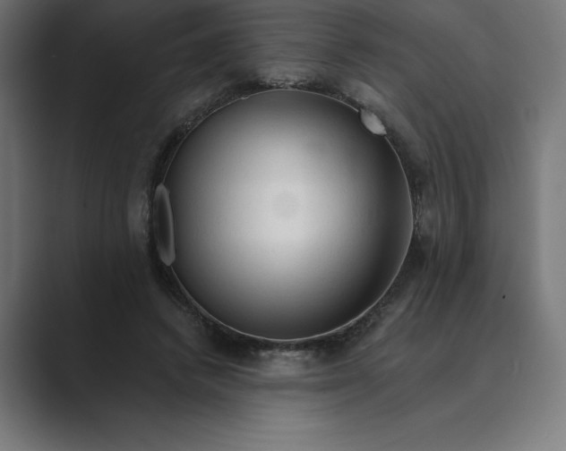 X0000089340448200706291004