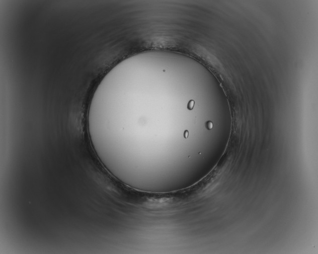 X0000089340450200706291004