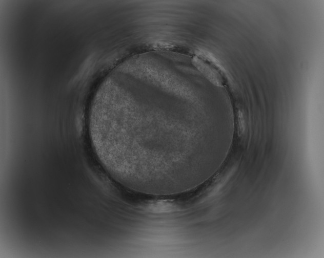 X0000089340451200706291004