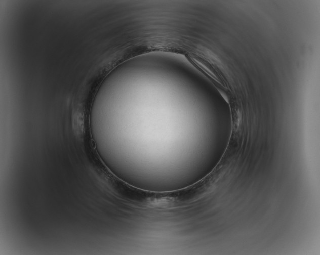 X0000089340452200706291004
