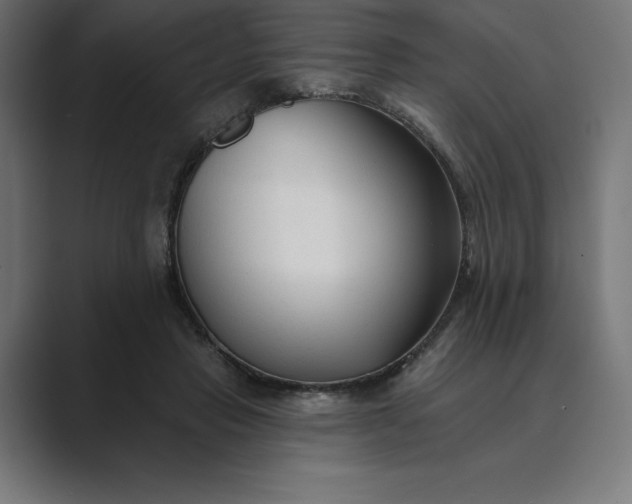 X0000089340453200706291004