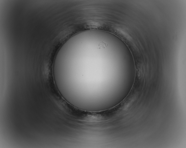 X0000089340455200706291005