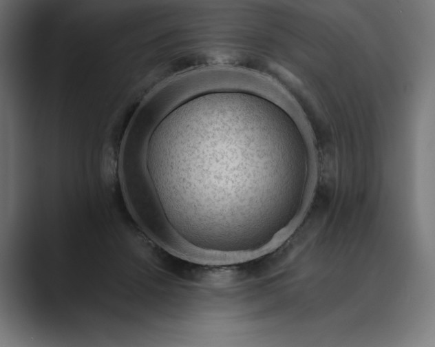 X0000089340456200706291005