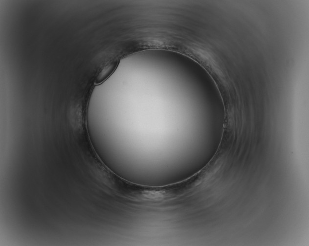 X0000089340457200706291005