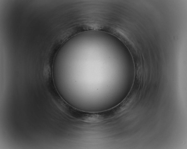 X0000089340459200706291005