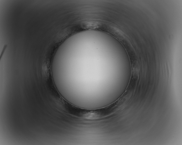 X0000089340460200706291005