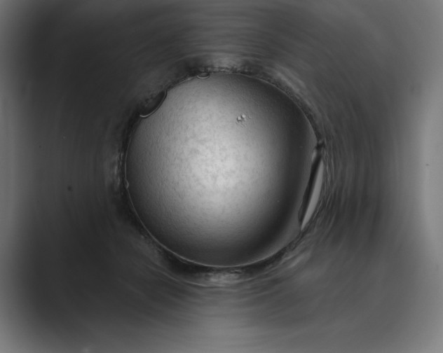 X0000089340462200706291005