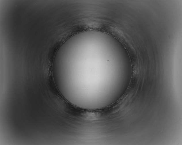 X0000089340464200706291005