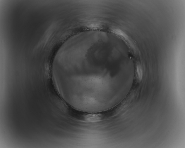 X0000089340465200706291005