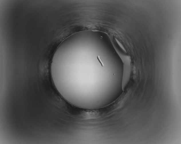 X0000089340466200706291005