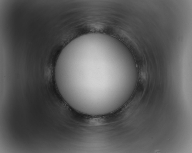 X0000089340468200706291005