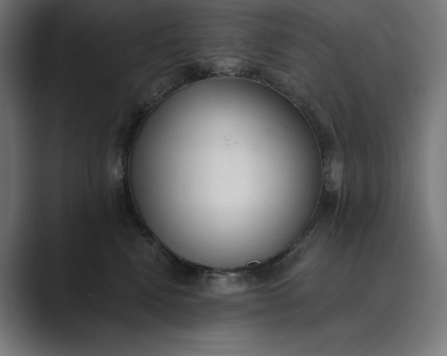 X0000089340472200706291005
