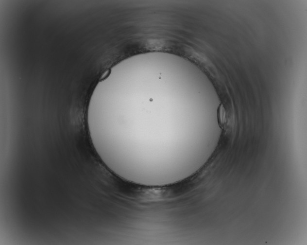 X0000089340473200706291005
