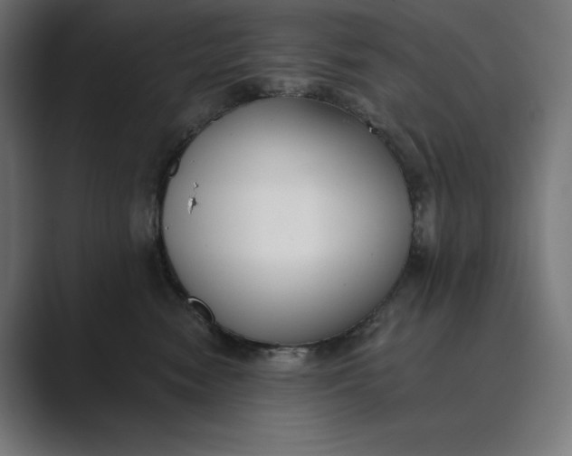 X0000089340474200706291005
