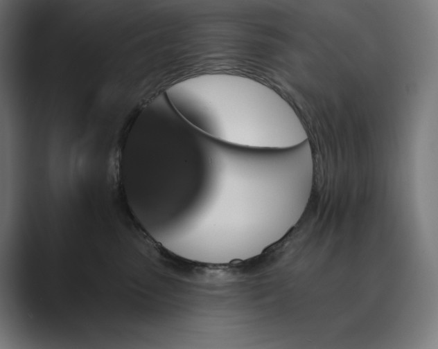 X0000089340475200706291005