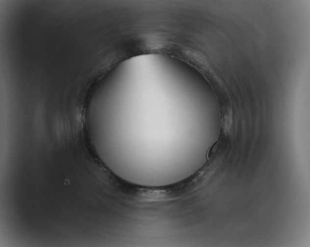 X0000089340476200706291005