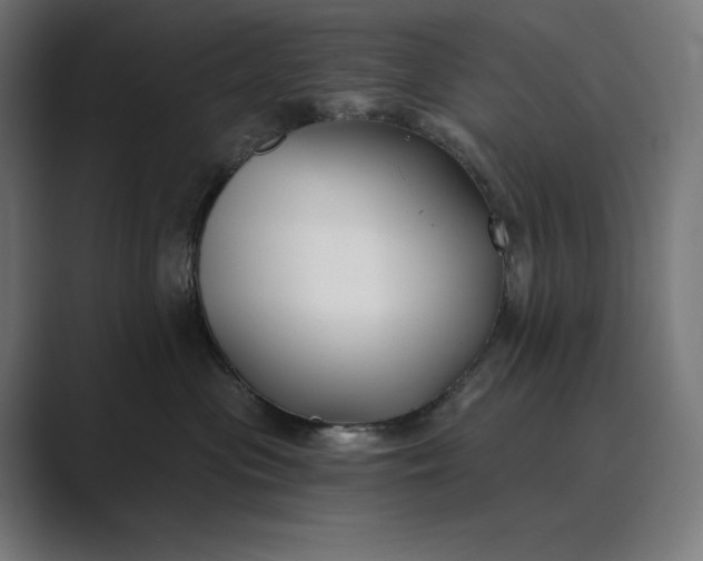 X0000089340477200706291005