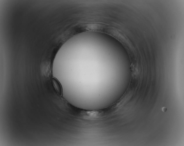 X0000089340478200706291005