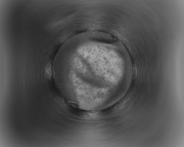 X0000089340479200706291005