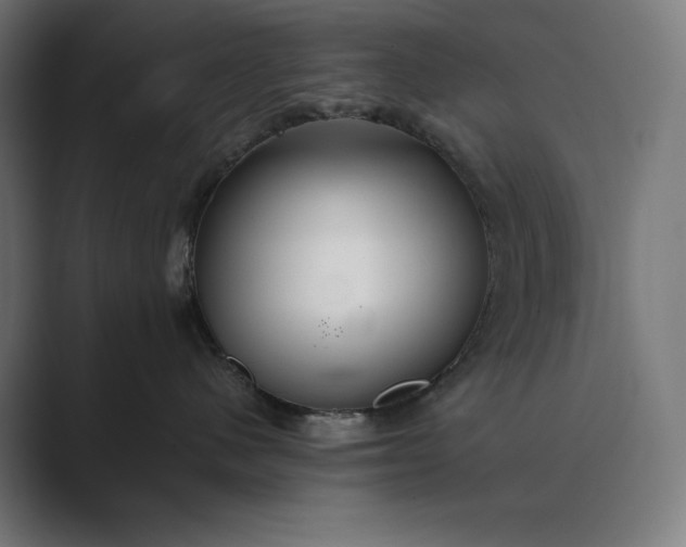 X0000089340480200706291005