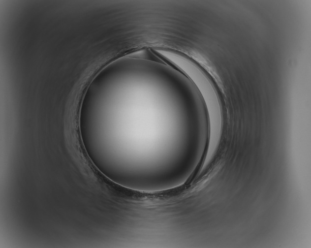 X0000089340481200706291004