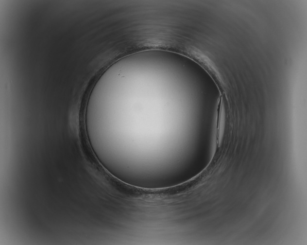 X0000089340482200706291004