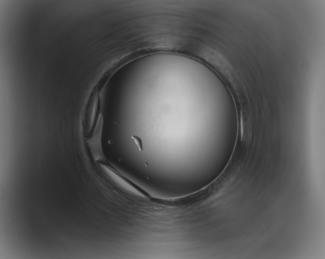 X0000089340483200706291004
