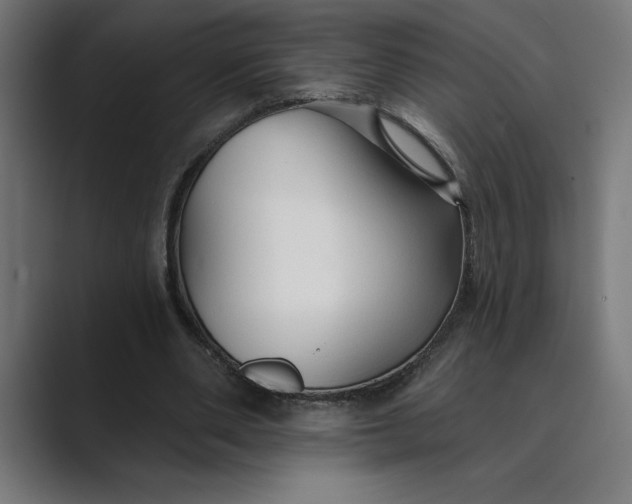 X0000089340486200706291004