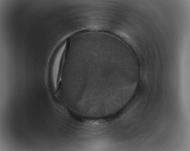 X0000089340488200706291004
