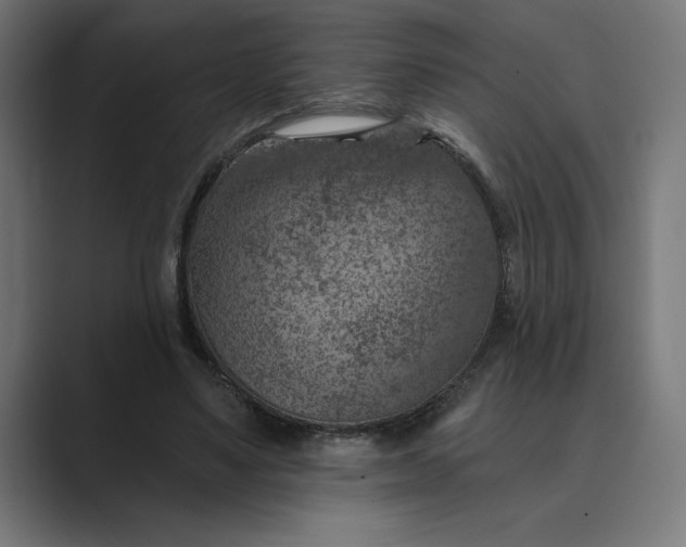 X0000089340491200706291004
