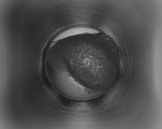 X0000089340492200706291004