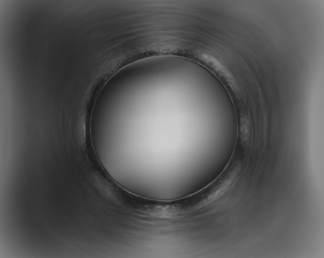 X0000089340493200706291004