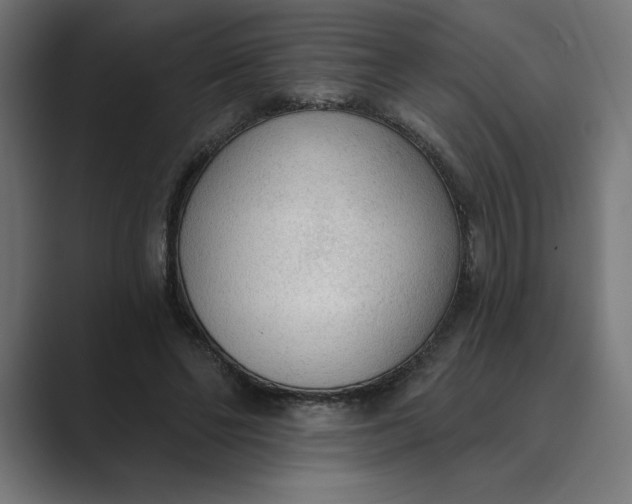 X0000089340494200706291004