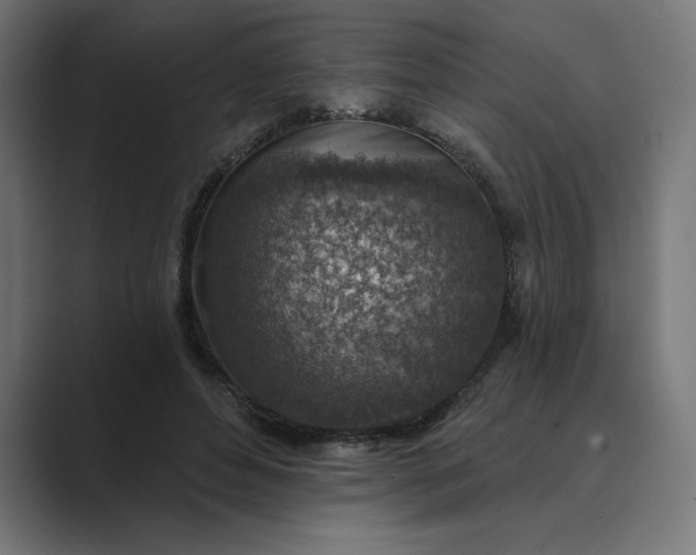 X0000089340496200706291004