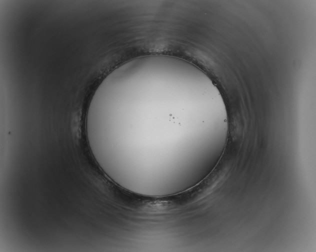 X0000089340497200706291004
