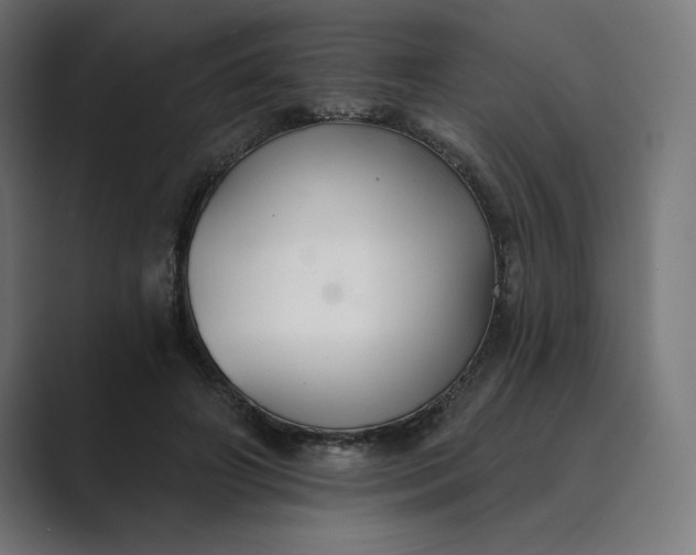 X0000089340498200706291004