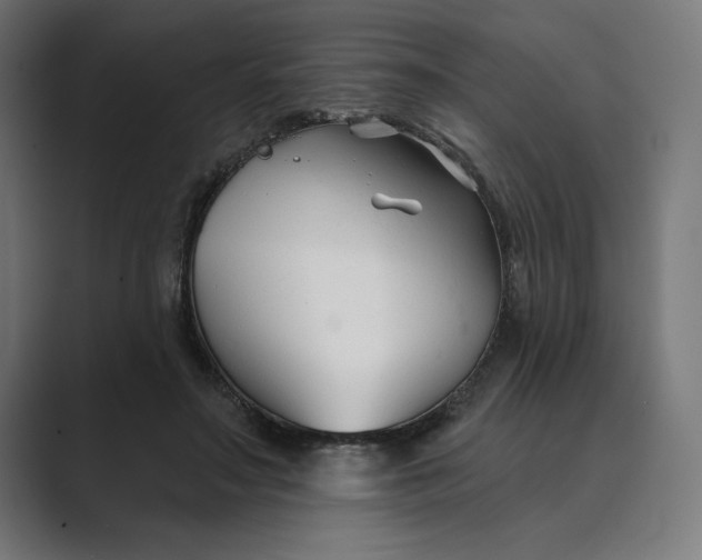 X0000089340499200706291004