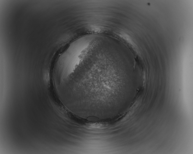 X0000089340500200706291004