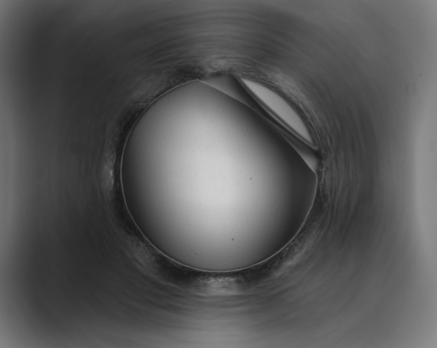 X0000089340501200706291004