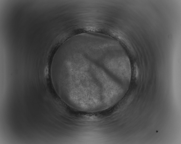 X0000089340502200706291004