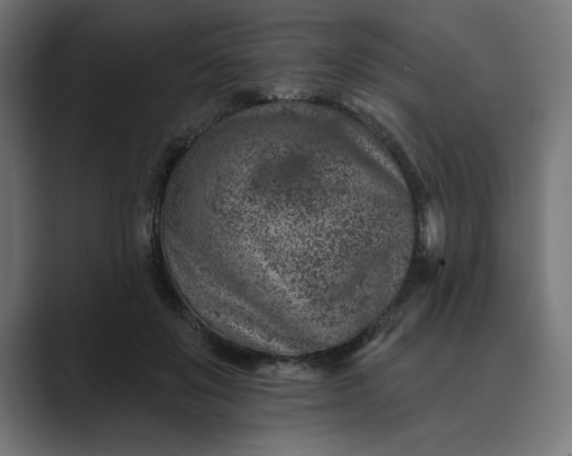 X0000089340503200706291004