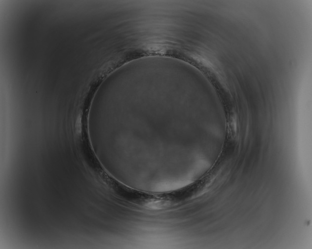 X0000089340504200706291004